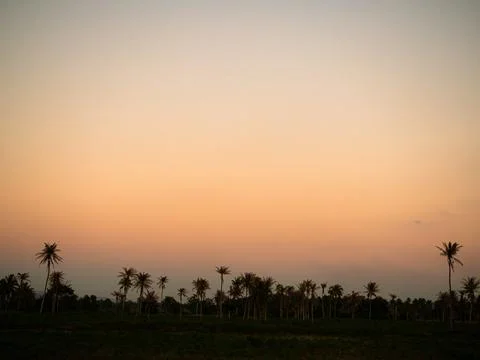 Sunset blur nature summer background cloud gradient overlay dramatic Foto stock