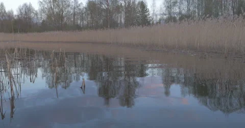 Sunset in the boat on the lake Video stock 64838285