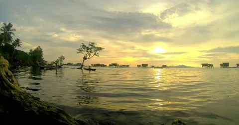 Sunset Bodgaya. Stock-Footage 58598255