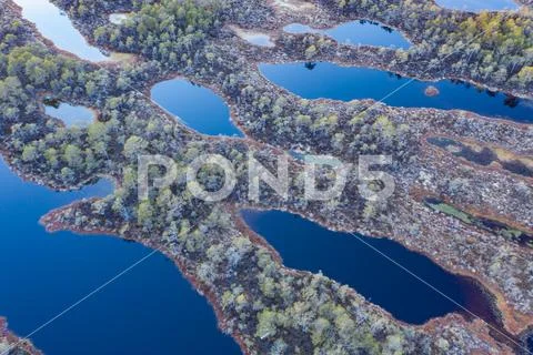 Sunset in the bog, golden marsh, lakes and nature environment. Sundown evenin Stock Photos