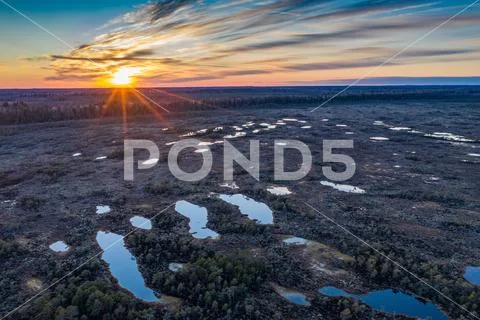 Sunset in the bog, golden marsh, lakes and nature environment. Sundown evenin Stock Photos