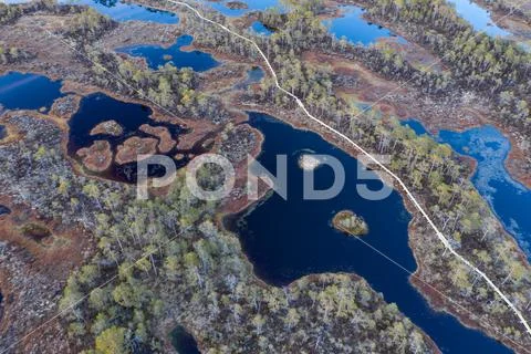 Sunset in the bog, golden marsh, lakes and nature environment. Sundown evenin Stock Photos