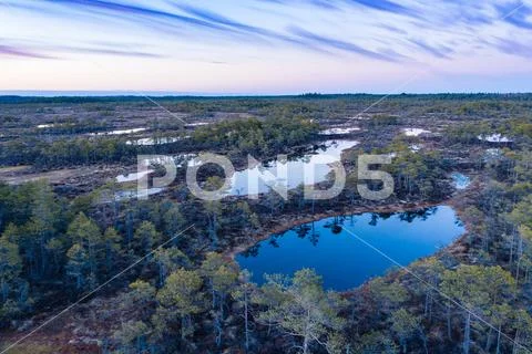 Sunset in the bog, golden marsh, lakes and nature environment. Sundown evenin Stock Photos