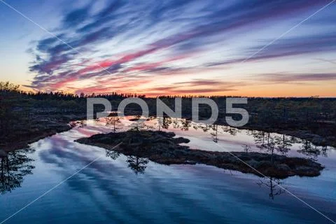 Sunset in the bog, golden marsh, lakes and nature environment. Sundown evenin Stock Photos