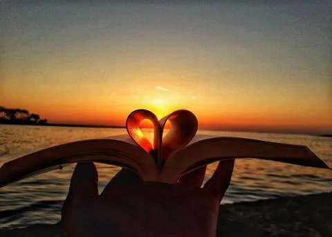 Sunset with book Stock-Fotos