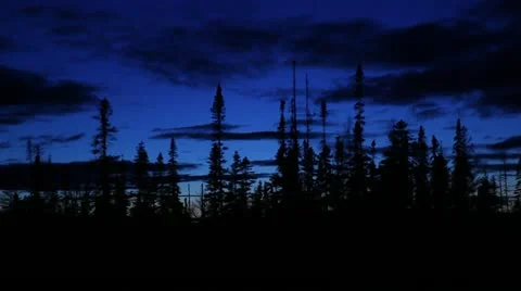 Sunset boreal forest without black / couché de soleil de la forêt boréale Stock Footage 12410484
