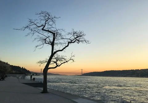 Sunset at Bosphorus Coastline Stock Photos