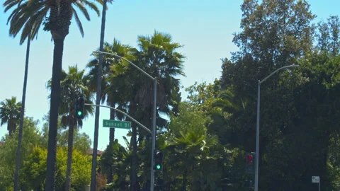 Sunset Boulevard with palm trees in the background Stock Footage 131190404