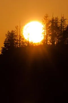 Sunset at Bowerman Basin, Greys Harbor, Washington. Stock-Fotos