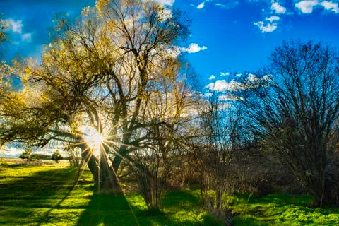 Sunset in Bozeman Фото