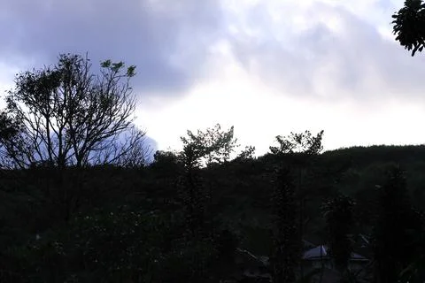 Sunset branch Stock Photos