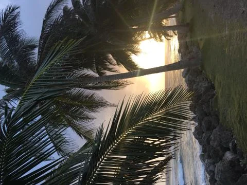 Sunset in Brasil Stock Photos