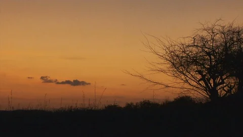 Sunset in Brazil Stock Footage 86320209
