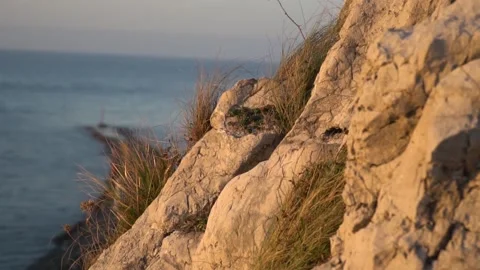 Sunset in the breakwater in Suances Stock Footage 138000083