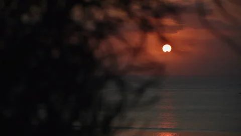Sunset of a bright disk of the sun over the horizon over the sea in purple tones Stock Footage 235786101