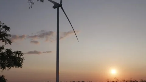 Sunset in a bright red field Stock Footage 245050776