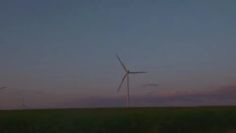 Sunset in a bright red field in an open field Stock Footage 245051436