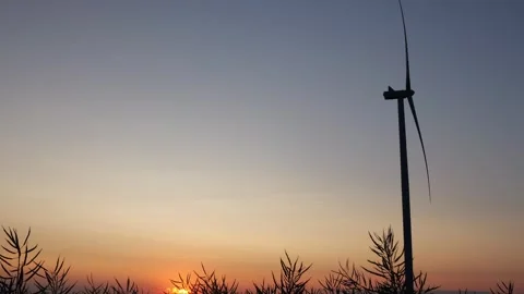 Sunset in a bright red field in an open field Stock Footage 245052766
