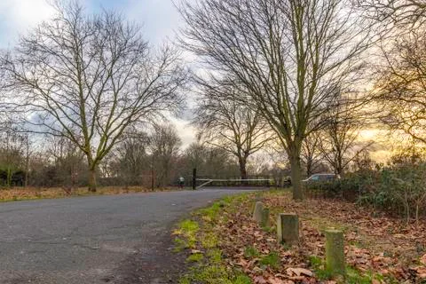 Sunset at a british park Stock Photos