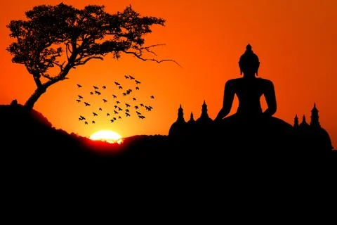 Sunset with Buddha tree bird and Pagoda Stock Photos