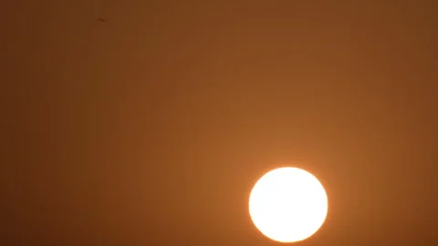 Sunset with building and tree silhouettes under an orange sky Stock Footage 299217517