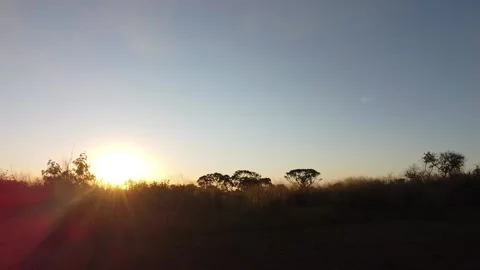 Sunset Burle Marx Park Vídeo Stock 131849899