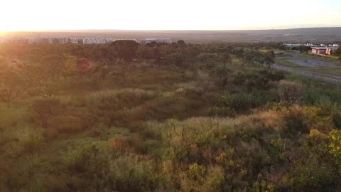 Sunset Burle Marx Park Vídeo Stock 131850860