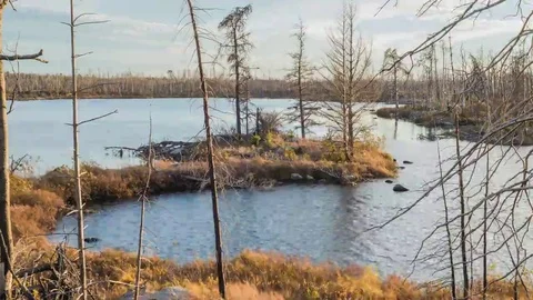 Sunset in the BWCA Stock Footage 69265243