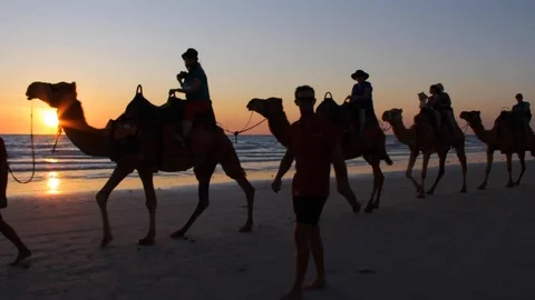 Sunset at Cable Beach in Broome, Australia (Camels Galore) Stock Footage 123095262