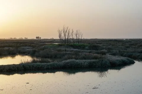 Sunset in the Cais da Ribeira de Esgueira, a beautiful lagoon in Aveiro. Lovely Stock Photos