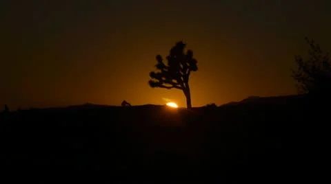 Sunset in California desert Stock Footage 9522485