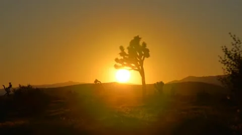 Sunset in California desert. Stock Footage 9522853