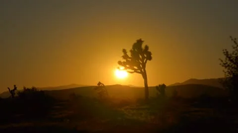 Sunset in California desert Stock Footage 9524012