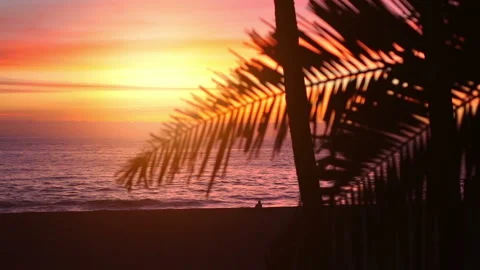 Sunset in California in slow motion Stock Footage 87810455