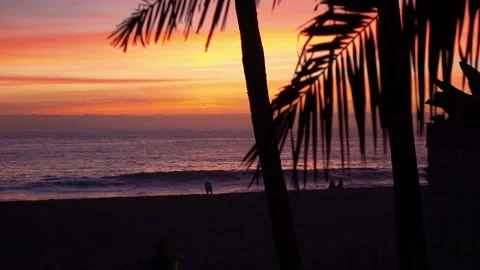 Sunset in California in slow motion Stock Footage 88114126