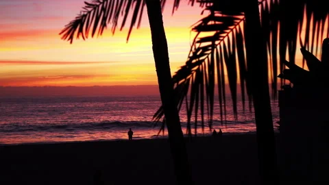 Sunset in the California in slow motion Vidéo 88296409