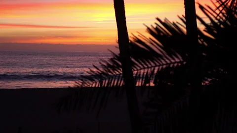 Sunset in California in slow motion Vidéo 88638062