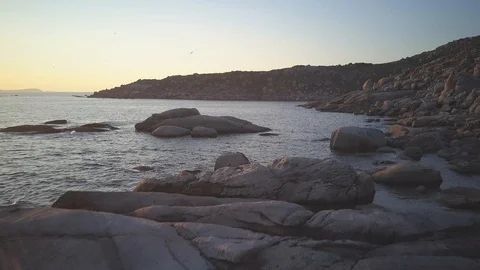 Sunset in Calm Ocean With Seagulls Stock Footage 112273503