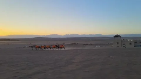 Sunset Camel Caravan Walking Across the Desert in Turpan, China Stock Footage 327593600