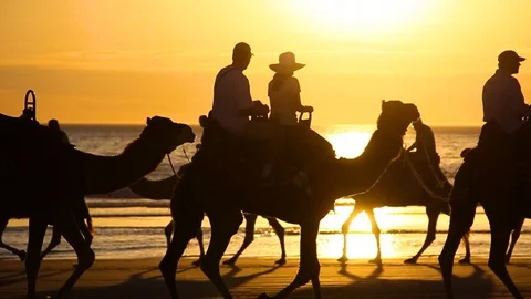 Sunset Camel Ride at Cable Beach in Broome, Australia - Beautiful Silhouettes Stock Footage 94504005
