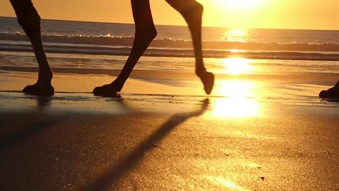 Sunset Camel Ride Feet Video stock 85226320