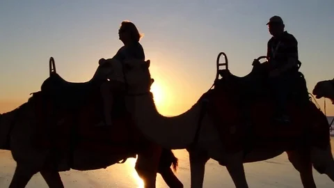Sunset Camel Ride Stock Footage 85226337