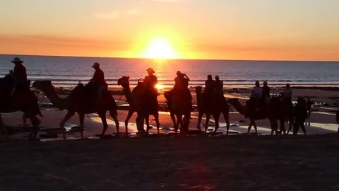 Sunset Camel Ride Stock Footage 85226416