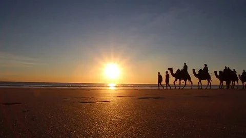 Sunset Camel Ride Stock Footage 85226433