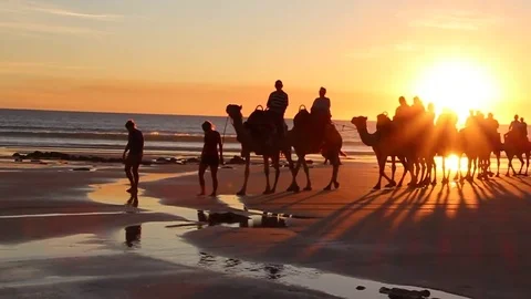 Sunset Camel Ride Stock Footage 85231647