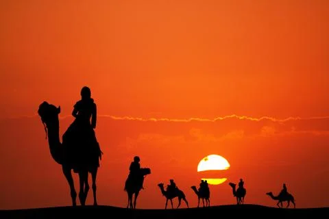 Sunset camel ride Stock Illustration