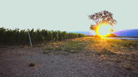 Sunset in campaign Stock Footage 52900434