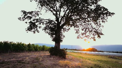 Sunset in campaign Stock-Footage 52901523