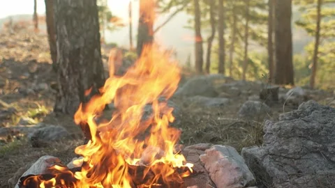 Sunset Campfire by the Forest Edge. Stock Footage 267277653