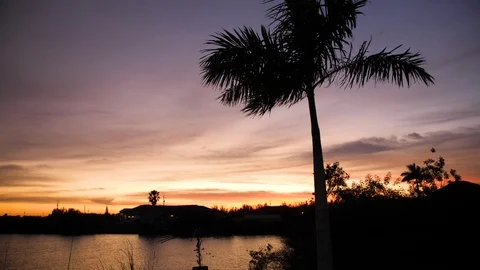 Sunset on Canal Palm Tree Blowing Waving Crescent Moon Slow Motion 4K Stock Footage 123263061